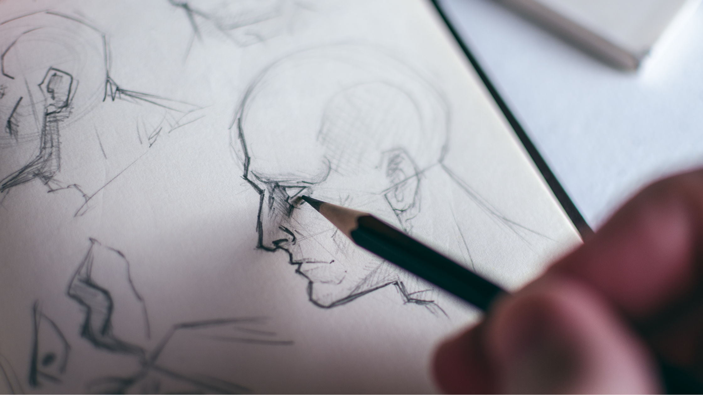 29 Drawing Ideas for Beginners (That Actually Help You Improve)